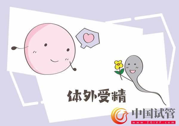 浙江大学医学院附属妇产科医院(图4) 浙江大学医学院附属妇产科医院(图4)