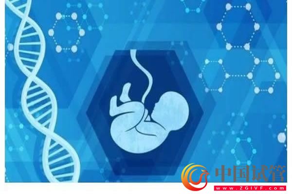 天津市中心妇产科医院(图4) 天津市中心妇产科医院(图4)