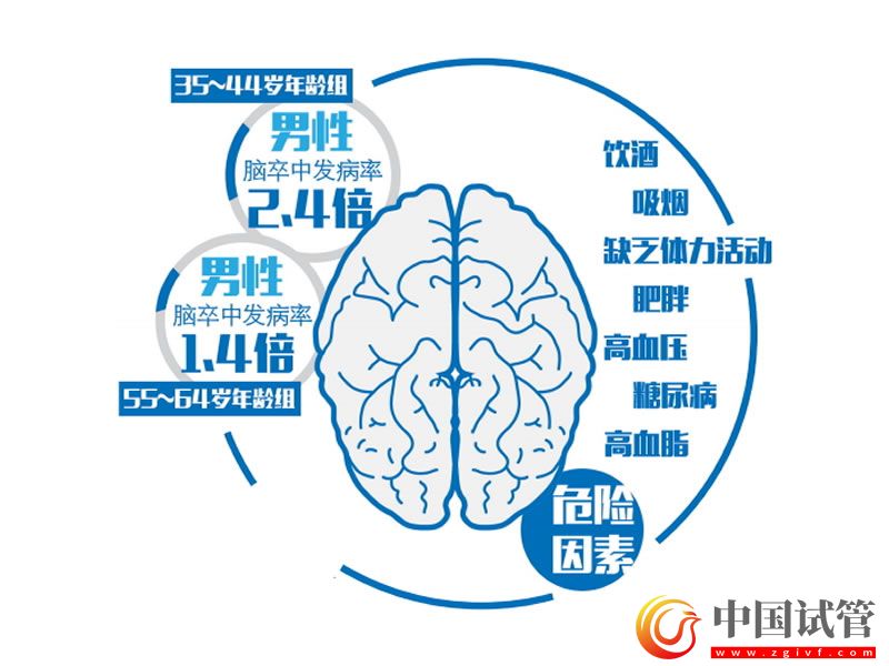 我国学者为脑卒中治疗提供最高级别的循证医学证据(图1) 我国学者为脑卒中治疗提供最高级别的循证医学证据(图1)