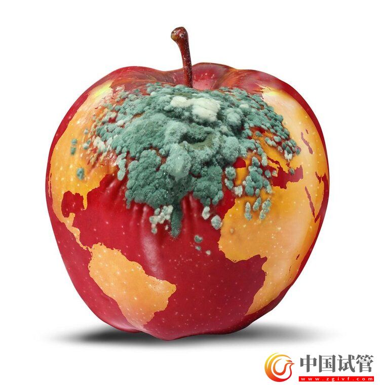 中国癌症高发,与水果吃太少有关?(图1) 中国癌症高发,与水果吃太少有关?(图1)