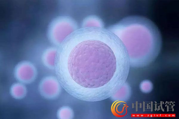 多囊卵巢综合征严重吗?治疗多囊你要了解它!(图1) 多囊卵巢综合征严重吗?治疗多囊你要了解它!(图1)