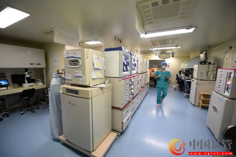 我国每年约有30万名试管婴儿诞生(图1) 我国每年约有30万名试管婴儿诞生(图1)