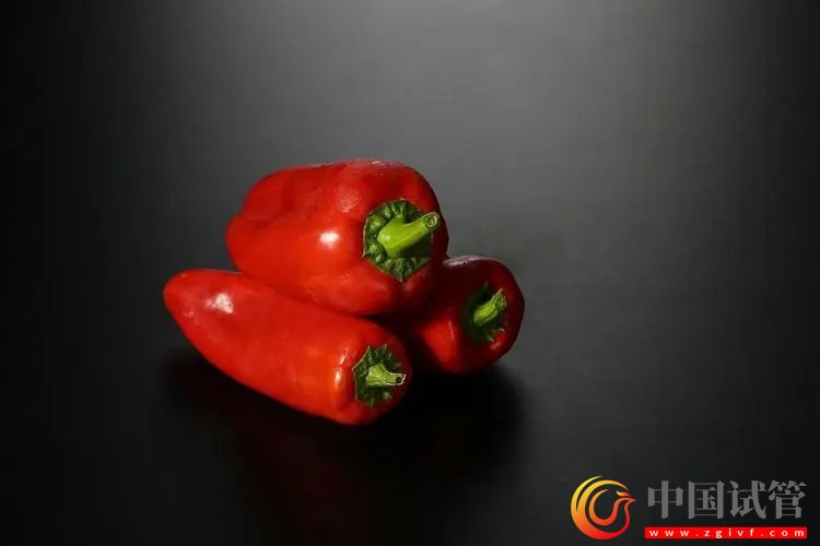 抚顺第三代试管婴儿需要多少钱?(图1) 抚顺第三代试管婴儿需要多少钱?(图1)