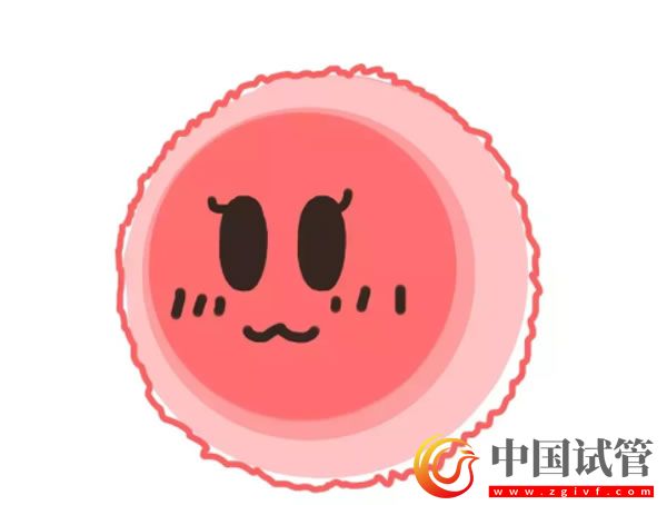 昌都哪些医院可以做第三代试管婴儿?(图1) 昌都哪些医院可以做第三代试管婴儿?(图1)