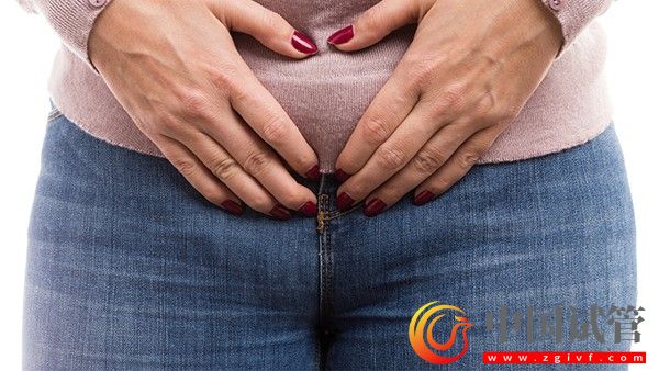 女性想要保护卵巢健康这些事要做好(图1) 女性想要保护卵巢健康这些事要做好(图1)