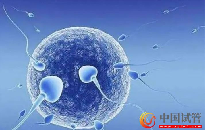 牡丹江妇幼保健院人工授精经验,单次费用范围约8000-10000元(图2) 牡丹江妇幼保健院人工授精经验,单次费用范围约8000-10000元(图2)