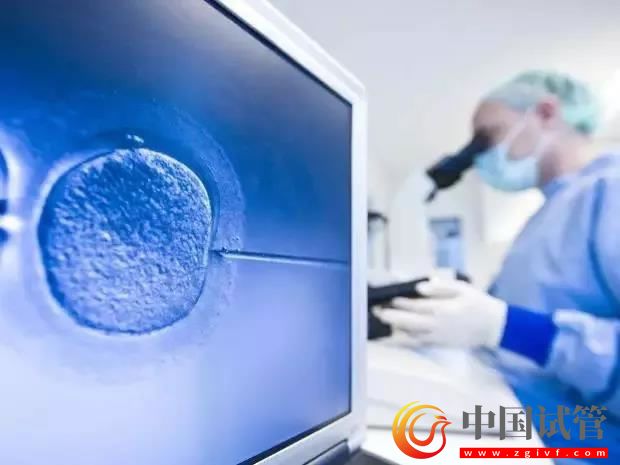 克拉玛依做第三代试管婴儿的价格是多少呢?(图1) 克拉玛依做第三代试管婴儿的价格是多少呢?(图1)
