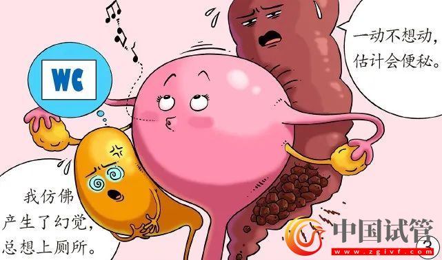 孕妈脏器会挪地儿(图3) 孕妈脏器会挪地儿(图3)