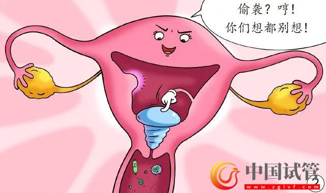 孕妈脏器会挪地儿(图2) 孕妈脏器会挪地儿(图2)