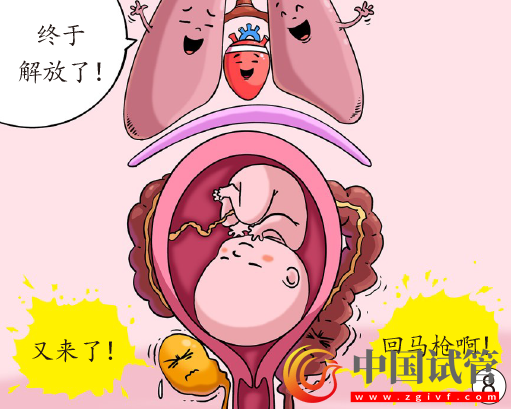 孕妈脏器会挪地儿(图8) 孕妈脏器会挪地儿(图8)