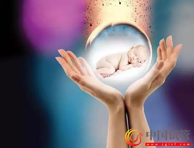 天津私立试管婴儿医院费用明细(图1) 天津私立试管婴儿医院费用明细(图1)