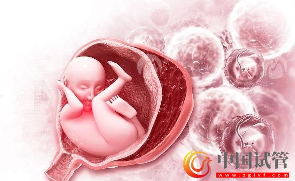 乌兰察布第三代试管婴儿哪个医院可以做?(图1) 乌兰察布第三代试管婴儿哪个医院可以做?(图1)