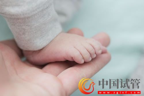 盐城试管婴儿医院有哪些?盐城试管婴儿医院哪家正规?(图1) 盐城试管婴儿医院有哪些?盐城试管婴儿医院哪家正规?(图1)