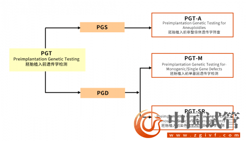 什么是PGT、PGS和PGD?(图4) 什么是PGT、PGS和PGD?(图4)