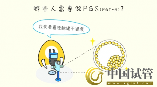 什么是PGT、PGS和PGD?(图5) 什么是PGT、PGS和PGD?(图5)