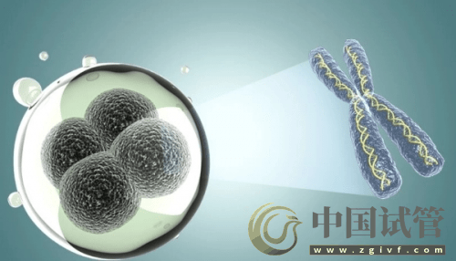 什么是PGT、PGS和PGD?(图6) 什么是PGT、PGS和PGD?(图6)