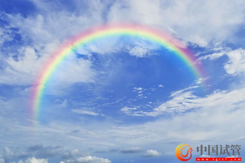 克州做试管婴儿需要多少钱(图1) 克州做试管婴儿需要多少钱(图1)