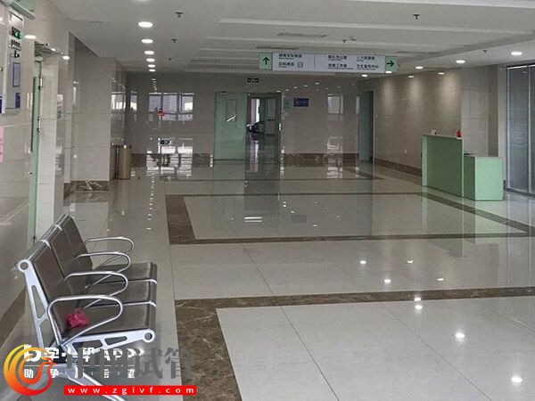 女性结扎21年会意外怀孕吗?除非出现这些情况(图1) 女性结扎21年会意外怀孕吗?除非出现这些情况(图1)