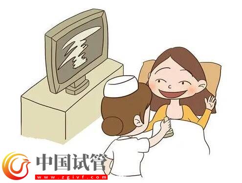 试管助孕检查内分泌激素可以在哪些时间段? (图1) 试管助孕检查内分泌激素可以在哪些时间段? (图1)