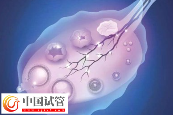 许昌三代试管机构骗局科普,一文叫你如何防止被骗(图1) 许昌三代试管机构骗局科普,一文叫你如何防止被骗(图1)