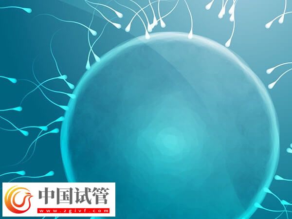 49岁高龄做试管婴儿易生化,染色体异常是主要原因(图1) 49岁高龄做试管婴儿易生化,染色体异常是主要原因(图1)
