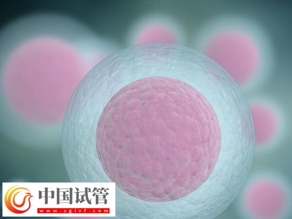 女性卵子质量差易不孕,日常补铁好处多多!(图1) 女性卵子质量差易不孕,日常补铁好处多多!(图1)
