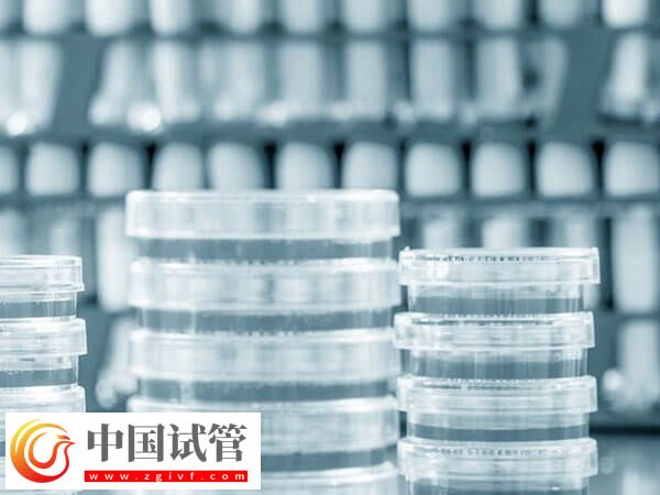 长沙热门人工受孕医院汇总,前三家成功率均在50%以上(图3) 长沙热门人工受孕医院汇总,前三家成功率均在50%以上(图3)