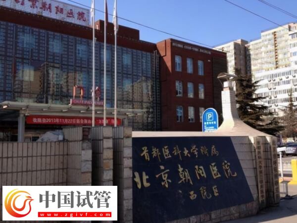 北京朝阳医院试管婴儿收费详解,生双胎仅需这个数...(图1) 北京朝阳医院试管婴儿收费详解,生双胎仅需这个数...(图1)