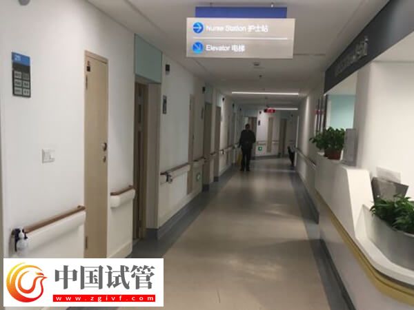 西宁公立供卵试管婴儿医院介绍,这两家口碑、技术都不赖(图1) 西宁公立供卵试管婴儿医院介绍,这两家口碑、技术都不赖(图1)