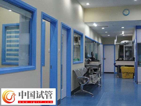 秦皇岛试管婴儿医院大揭秘,内含各院收费标准及妊娠率(图2) 秦皇岛试管婴儿医院大揭秘,内含各院收费标准及妊娠率(图2)