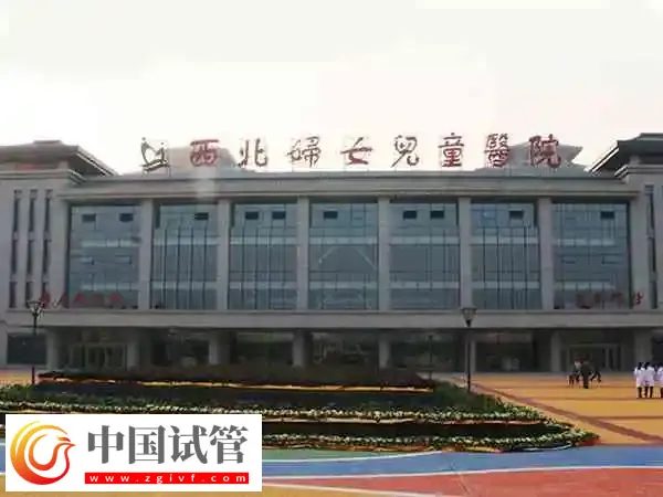 西北妇女儿童医院试管婴儿费用多少(图1) 西北妇女儿童医院试管婴儿费用多少(图1)
