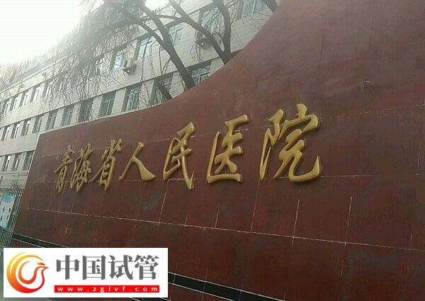 青海省人民医院供卵试管婴儿多少钱(图1) 青海省人民医院供卵试管婴儿多少钱(图1)