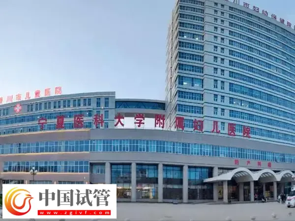 银川妇幼保健院试管婴儿成功率多少(图1) 银川妇幼保健院试管婴儿成功率多少(图1)