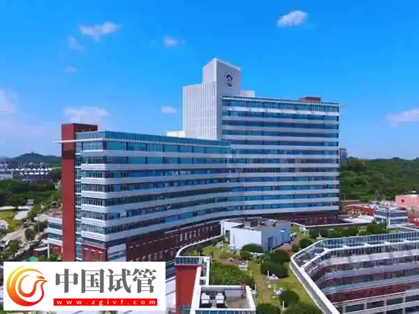 福建妇幼保健院试管婴儿费用多少钱(图1) 福建妇幼保健院试管婴儿费用多少钱(图1)