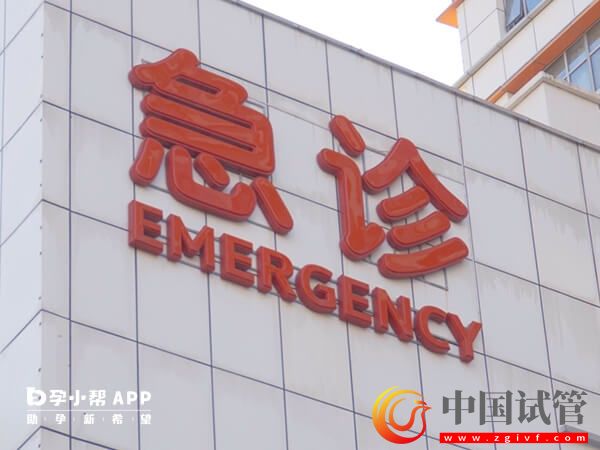 浙江三代试管婴儿医院助孕合法吗?1分钟看懂试管婴儿流程(图1) 浙江三代试管婴儿医院助孕合法吗?1分钟看懂试管婴儿流程(图1)