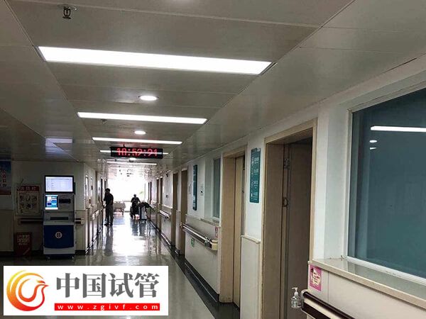 泉州试管婴儿机构大揭秘,这两家医院成功率均在50%以上(图2) 泉州试管婴儿机构大揭秘,这两家医院成功率均在50%以上(图2)