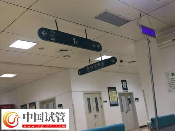 泉州二院做试管婴儿厉害吗?看完医院综合实力就知道(图2) 泉州二院做试管婴儿厉害吗?看完医院综合实力就知道(图2)