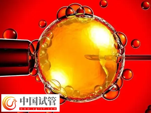胚胎移植后出现胎停育怎么办(图1) 胚胎移植后出现胎停育怎么办(图1)