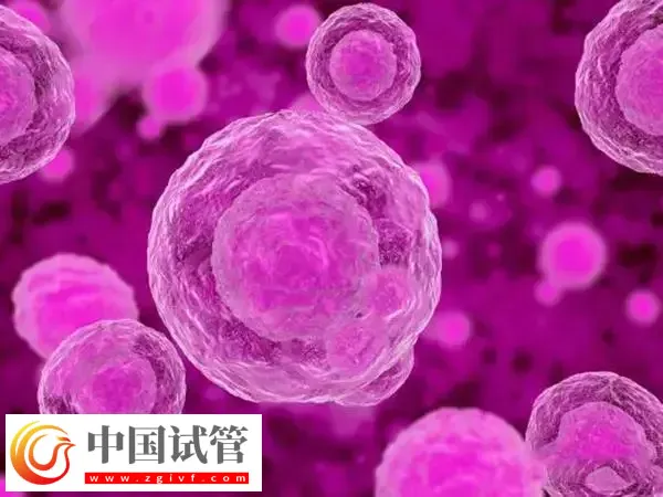 移植后上夜班是否会影响成功率(图1) 移植后上夜班是否会影响成功率(图1)