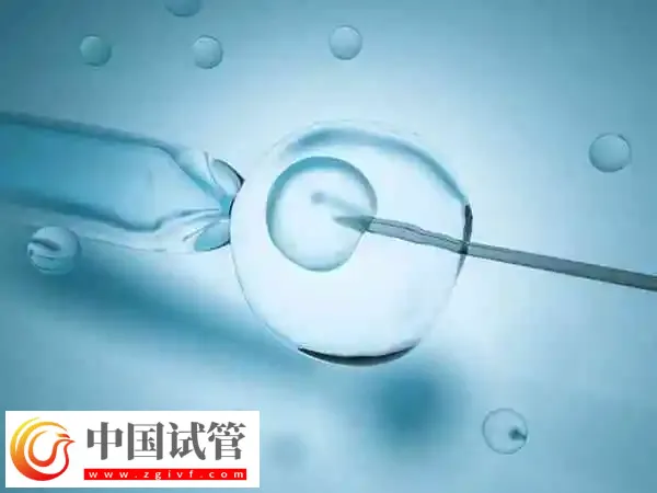 鲜胚移植成功的征兆是什么(图1) 鲜胚移植成功的征兆是什么(图1)