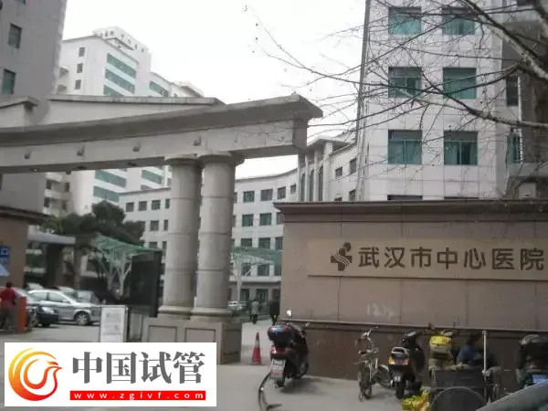 武汉市中心医院人工授精多少钱(图1) 武汉市中心医院人工授精多少钱(图1)