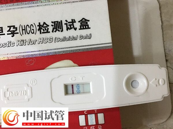石家庄三代试管婴儿助孕机构名单分享,怎么选看口碑(图1) 石家庄三代试管婴儿助孕机构名单分享,怎么选看口碑(图1)