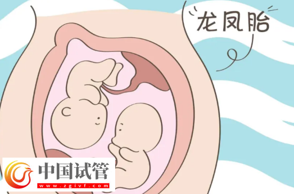 150斤的体重可以做试管婴儿怀龙凤双胎吗?(图1) 150斤的体重可以做试管婴儿怀龙凤双胎吗?(图1)
