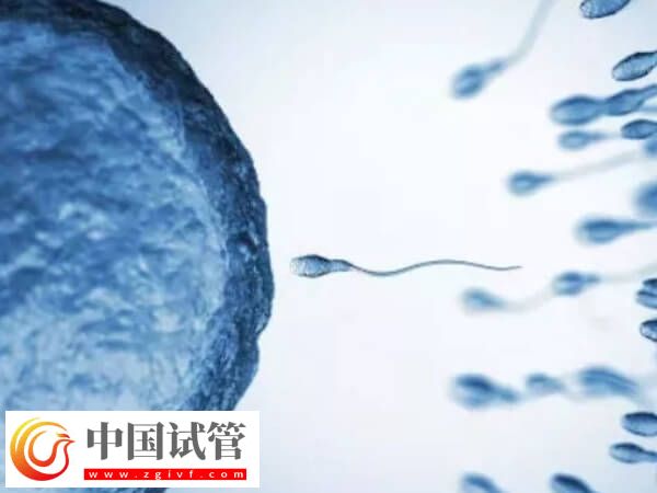 长沙试管婴儿平均成功率高达65%,满足这三个条件即可申请(图1) 长沙试管婴儿平均成功率高达65%,满足这三个条件即可申请(图1)