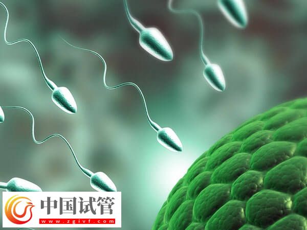 常德市妇幼保健院助孕攻略手册,附一、二、三代成功率参考(图2) 常德市妇幼保健院助孕攻略手册,附一、二、三代成功率参考(图2)