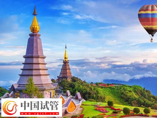 海外各国试管婴儿费用一览,内含西班牙、印度等地(图1) 海外各国试管婴儿费用一览,内含西班牙、印度等地(图1)
