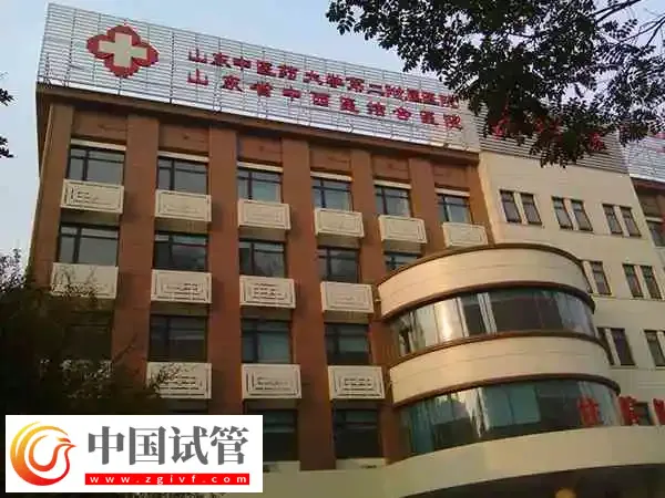 山东中医二附院试管婴儿生双胞胎费用多少(图1) 山东中医二附院试管婴儿生双胞胎费用多少(图1)