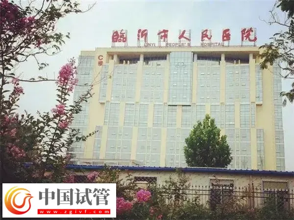 临沂市人民医院试管婴儿费用多少(图1) 临沂市人民医院试管婴儿费用多少(图1)