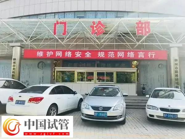 聊城市人民医院试管婴儿成功率多少(图1) 聊城市人民医院试管婴儿成功率多少(图1)
