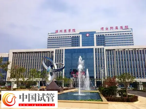 滨州附属医院试管婴儿成功率多少(图1) 滨州附属医院试管婴儿成功率多少(图1)